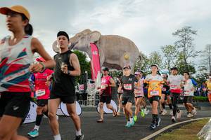 BIB: 
                            <button type="button" onclick="openModal(26528323)" class="btn btn-primary btn-sm float-right btn-popup" data-toggle="modal" data-target=".modal-high-quality">
                        <i class="fas fa-shopping-cart"></i> Add to Cart
                    </button>
                                            <button type="button" onclick="isThisMe(26528323, true)" class="btn btn-success btn-sm float-right btn-popup btn-isme hidden" data-toggle="tooltip" data-placement="bottom" title="นี่คือรูปของคุณใช่ไหม คลิกที่นี่เพื่อเอาเข้าอัลบั้ม">
                        <i class="fas fa-plus"></i> Add to album
                    </button>
                    <button type="button" onclick="isThisMe(26528323, false)" class="btn btn-warning btn-sm float-right btn-popup btn-isnotme hidden">
                        <i class="fas fa-ban"></i> Remove from album
                    </button>